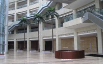 山東壽光文化館一層中庭（服務臺區(qū)）